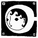 陽光/西岡智