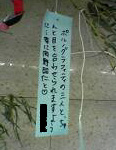 短冊