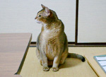 サブ01