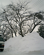 街中なんですよ。山の中ではございません