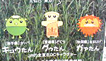 各県代表、なのか?